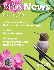 WOSNews Issue 206 thumbnail